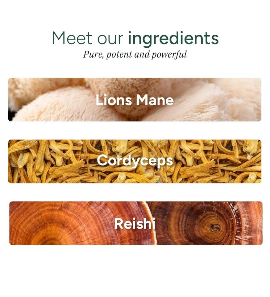 ROOT LABS Mushroom Gummies | No Added Sugar | Lions Mane Reishi Cordyceps | N...