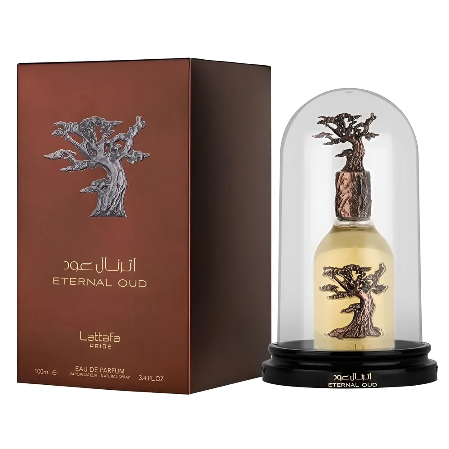 Eau de Parfum Spray 100ml Unisex Amber Fragrance with Plum Grapefruit Orchid Heliotrope Vanilla Oud Tonka Bean & Labdanum Long Lasting Luxurious Scent