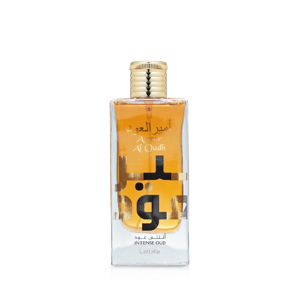 Eau de Parfum Spray 100ml - Unisex Amber Woody Fragrance with Saffron Nutmeg Geranium Labdanum Vanilla Oud Leather & Sandalwood Long Lasting Elegant Perfume for All Occasions