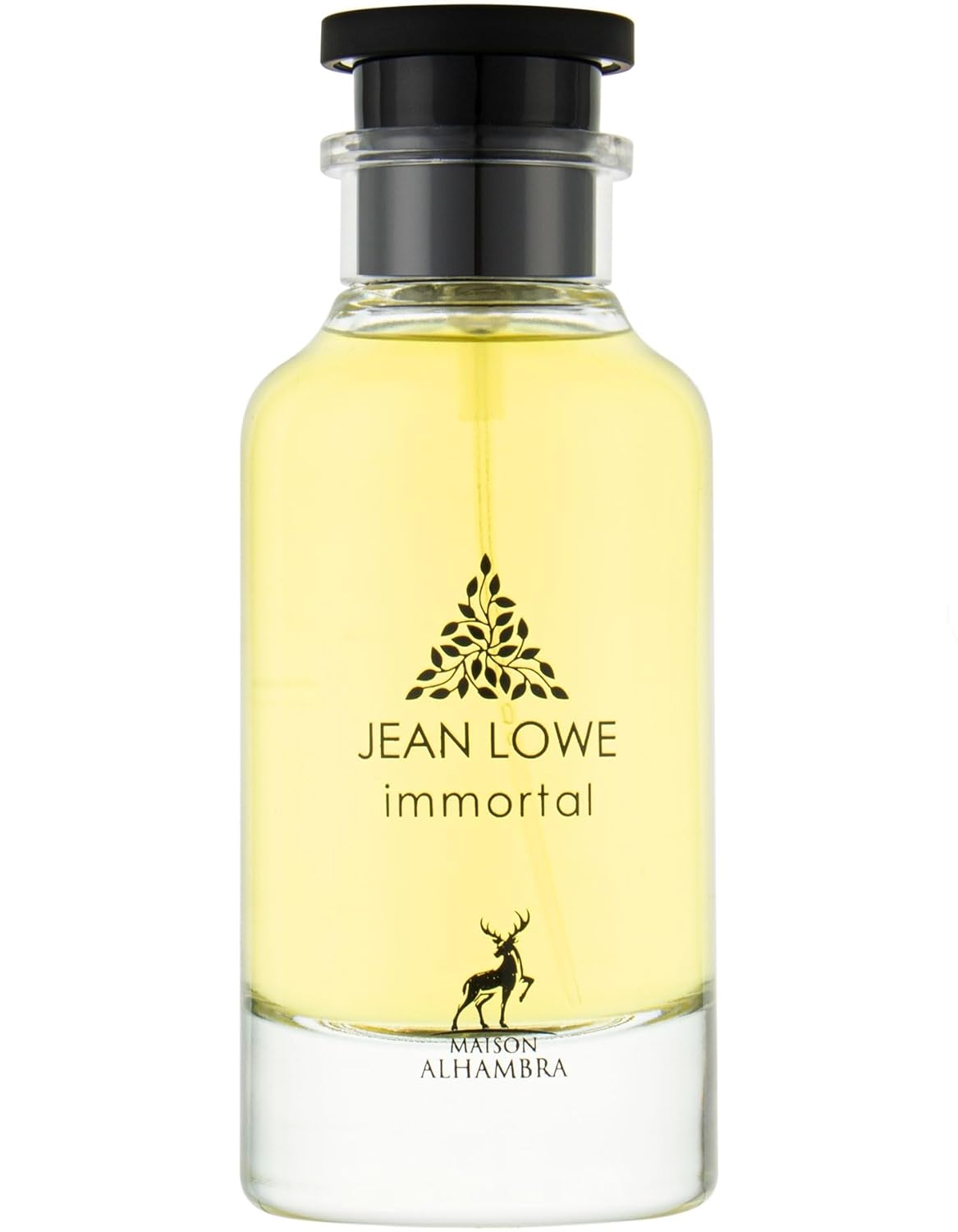 Jean Lowe Immortel Eau de Parfum Spray for Men 100ml – Bold Amber Woody Scent with Grapefruit, Ginger, Bergamot, Rosemary, Sage, Geranium, Amber, Ambroxan & Labdanum – Long-Lasting Sophisticated Fragrance