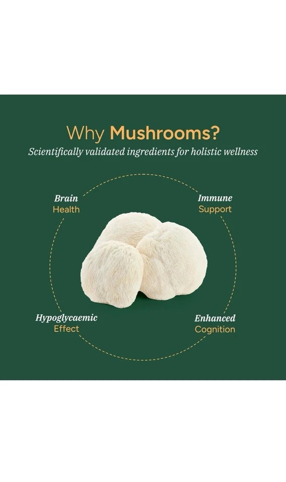 ROOT LABS Mushroom Gummies | No Added Sugar | Lions Mane Reishi Cordyceps | N...