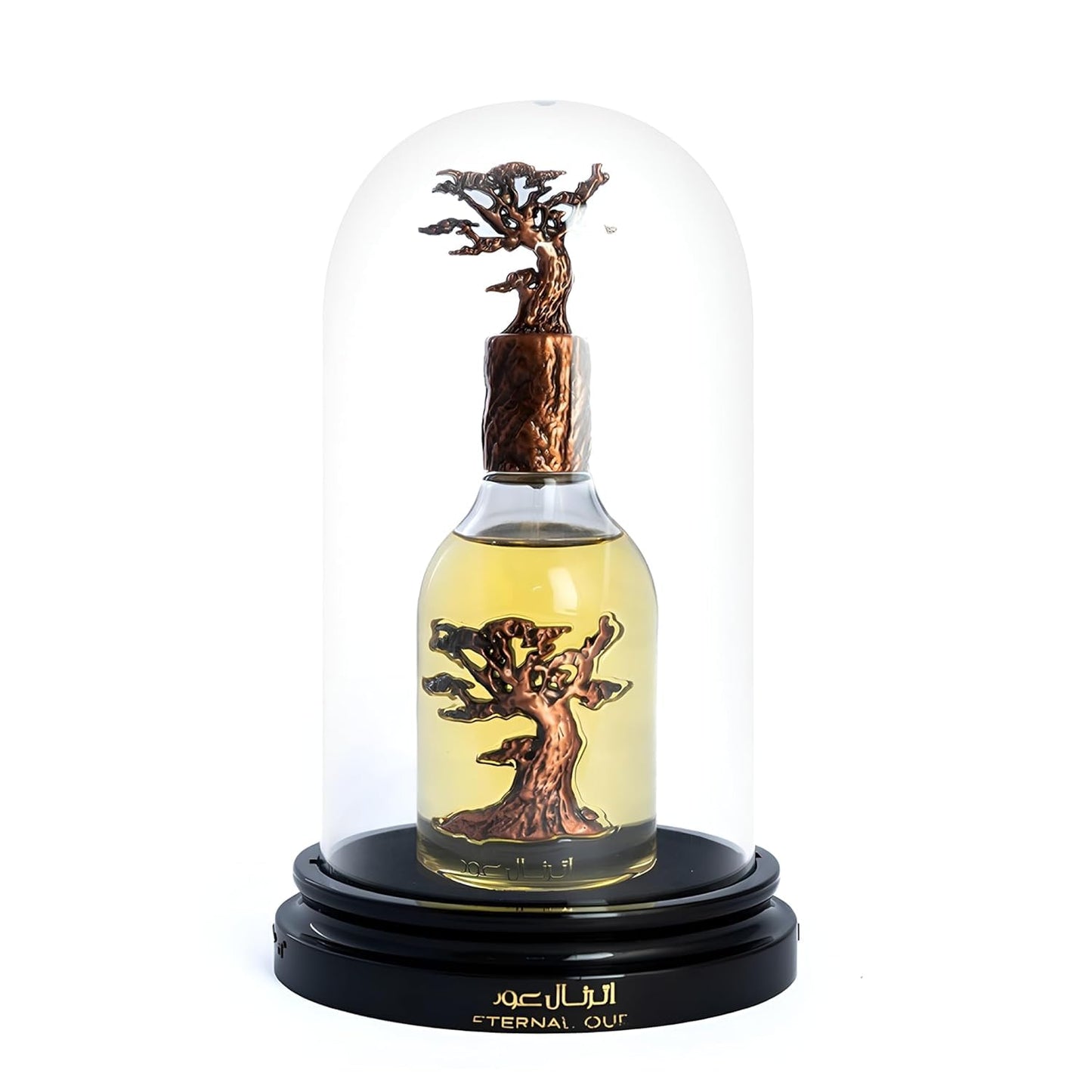 Eau de Parfum Spray 100ml Unisex Amber Fragrance with Plum Grapefruit Orchid Heliotrope Vanilla Oud Tonka Bean & Labdanum Long Lasting Luxurious Scent