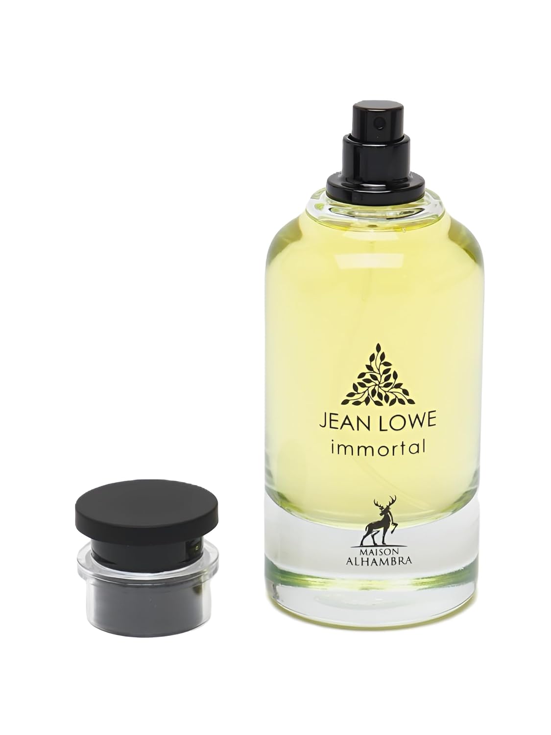 Jean Lowe Immortel Eau de Parfum Spray for Men 100ml – Bold Amber Woody Scent with Grapefruit, Ginger, Bergamot, Rosemary, Sage, Geranium, Amber, Ambroxan & Labdanum – Long-Lasting Sophisticated Fragrance