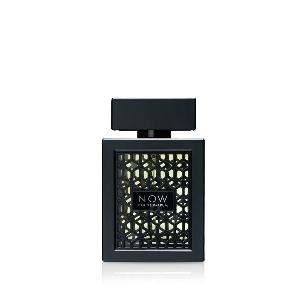 Eau de Parfum Spray for Men 100ml Bold Woody Aromatic Scent with Blackcurrant Bergamot Apple Pineapple Rose Jasmine Patchouli Musk Vanilla Ambergris & Oakmoss Long Lasting Fragrance for All Occasions Regular Edition Natural Spray