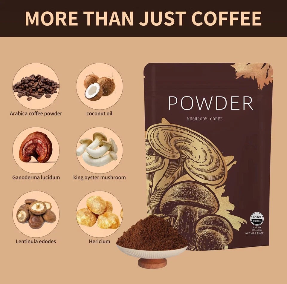 Mushroom Coffee + Matcha + Cacao Superfood Bundle | 7-in-1 ENERGY/FOCUS/GUT SUPP